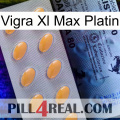 Vigra Xl Max Platinum 44